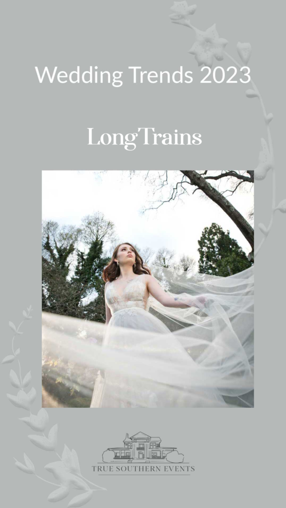 Kate Churches graphic designer surface pattern design